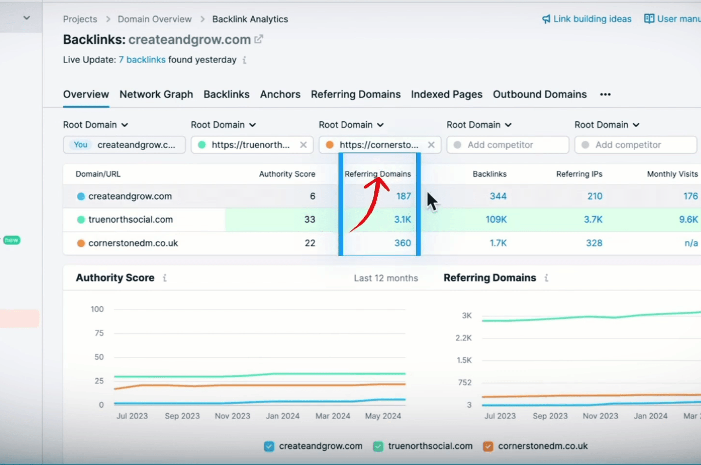 Comparing Referring Domains view in Semrush for backlink audit.