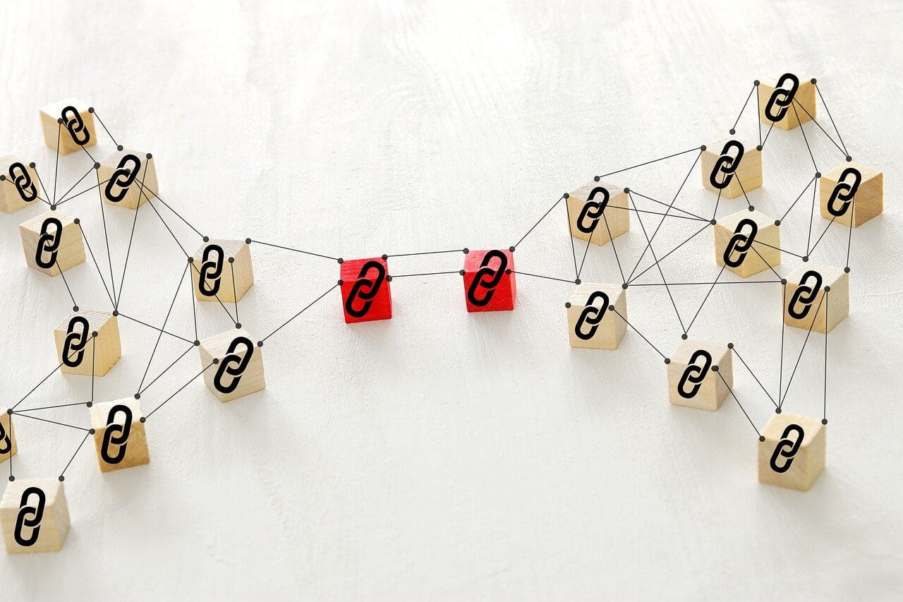 link building service